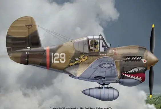 P-40 and Variations